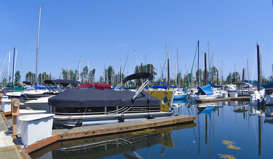 close up of power boats docked at Tomahawk Bay Marina on Hayden Island in Portland Oregon